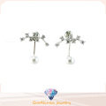 Bijoux de bonne qualité et de mode 3A CZ 925 Silver Earring (E6540)